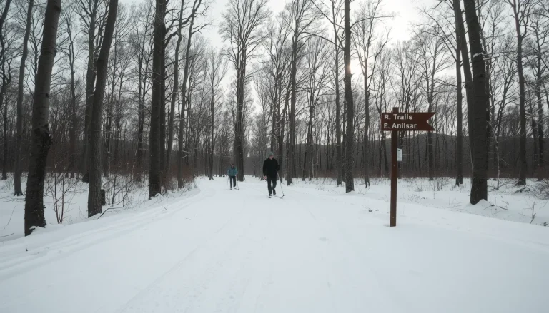 Site nordique de Bois Barbu : accès, pistes et forfaits du domaine Haut Vercors